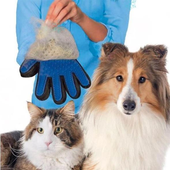 Samtpfoten Massagehandschuh
